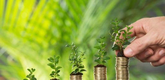 2018 el año de la Sustentabilidad del Marketing