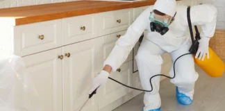 Infestación de chinches: cómo eliminarla con pulverización y nebulización cómo eliminar una infestación de chinches con pulverización