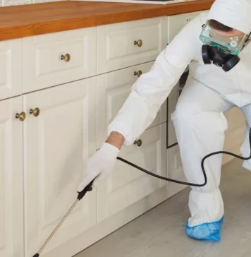 Infestación de chinches: cómo eliminarla con pulverización y nebulización cómo eliminar una infestación de chinches con pulverización