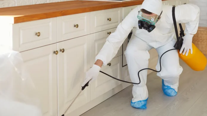 cómo eliminar una infestación de chinches con pulverización