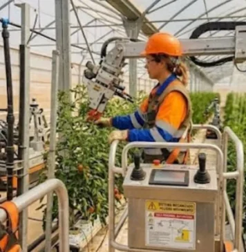 PRL maquinaria agrícola y sector agrario: cómo reducir accidentes y cumplir la normativa PRL maquinaria agrícola y sector agrario